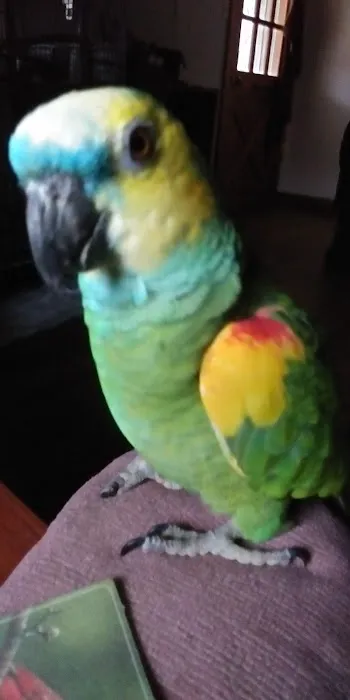 Alpine Animal Clinic Picture 5