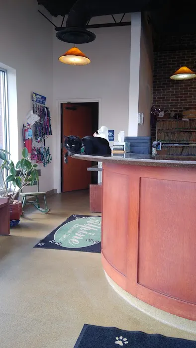 Alpine Animal Clinic Picture 8