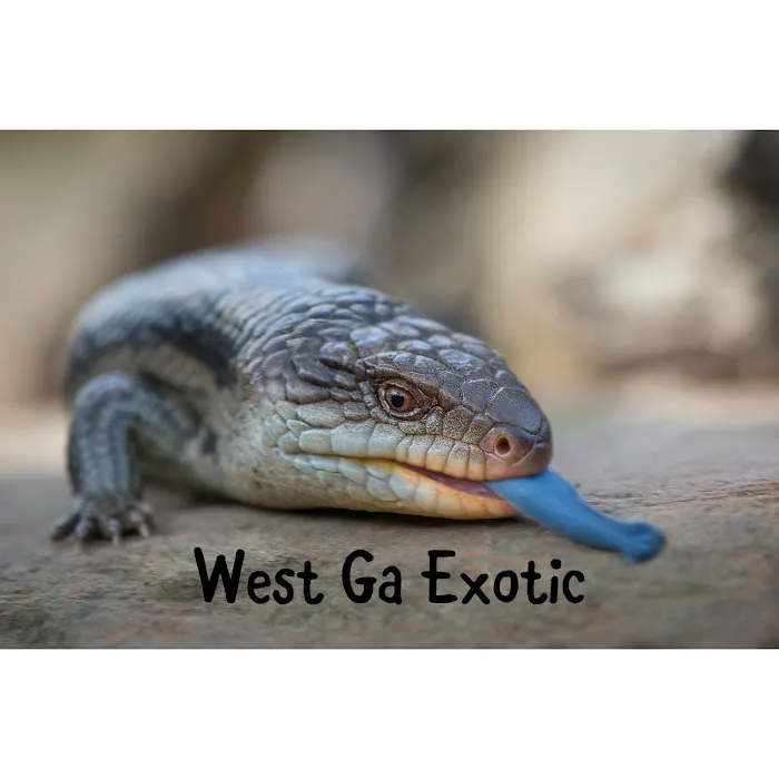 West Ga Exotic Picture 7