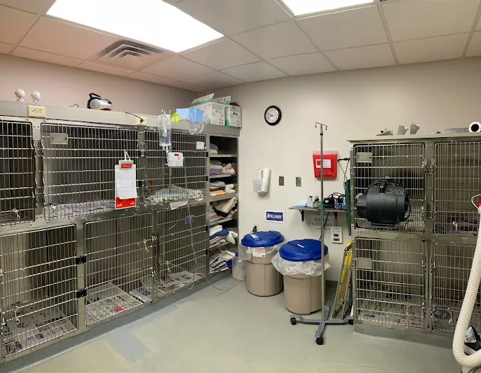 Bloomsburg Veterinary Hospital, Inc Picture 2