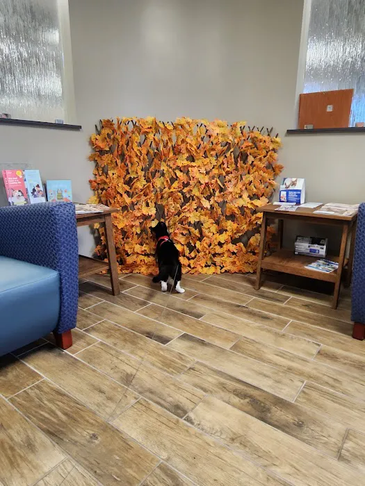 Bloomsburg Veterinary Hospital, Inc Picture 3