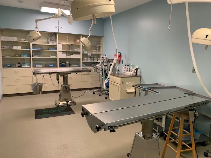 Bloomsburg Veterinary Hospital, Inc Picture 8