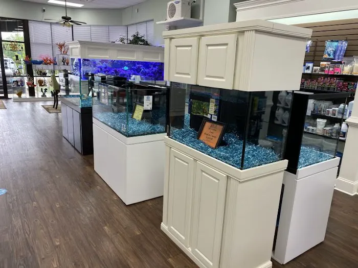 Pure Reef Picture 9