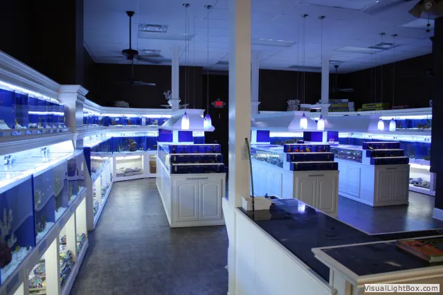 Pure Reef Picture 1