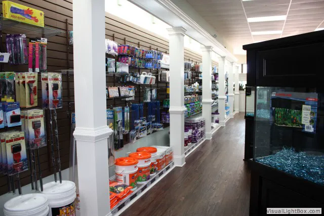 Pure Reef Picture 3