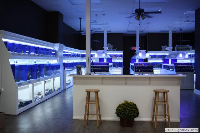 Pure Reef Picture 6
