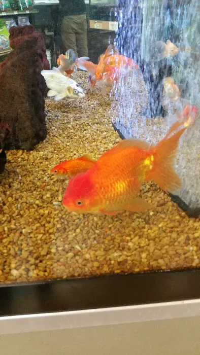 Petco Picture 6
