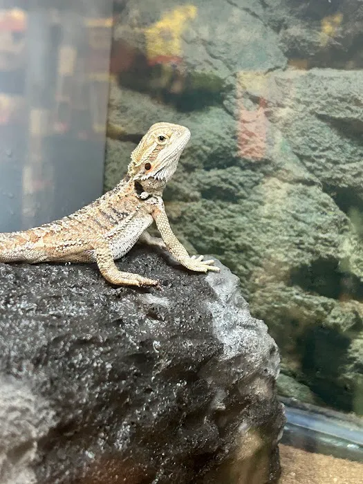 Petco Picture 1