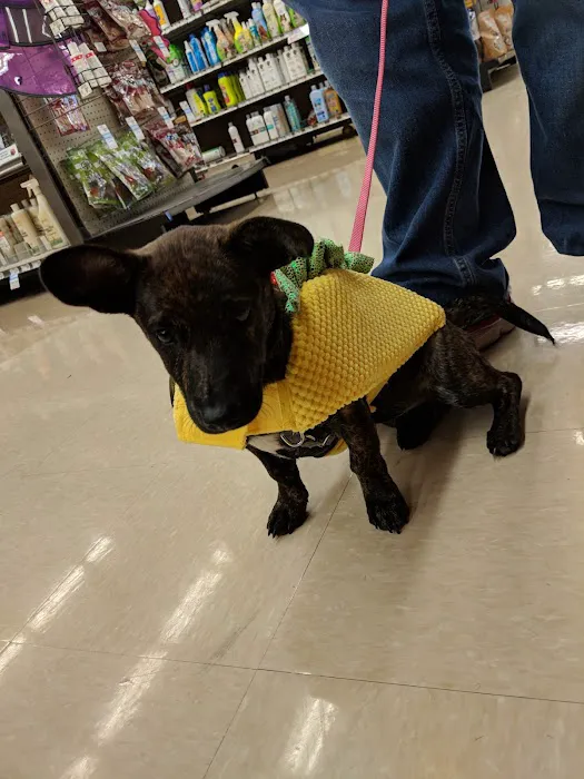 Petco Picture 8