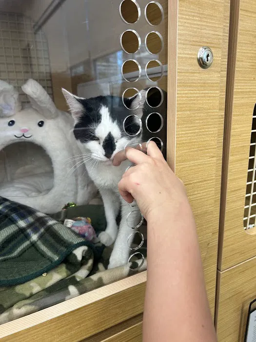 Petco Picture 2