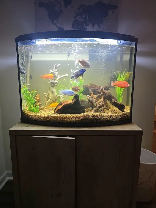 Mystical Ponds and Aquariums Picture 9