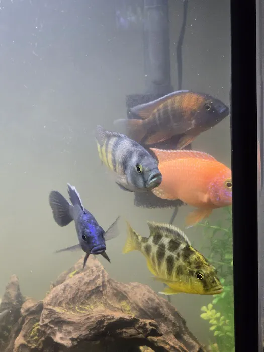 Mystical Ponds and Aquariums Picture 10