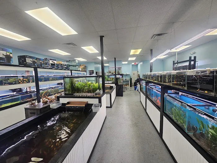 Mystical Ponds and Aquariums Picture 1