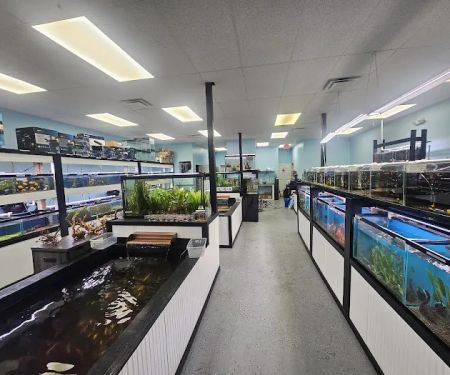 Mystical Ponds and Aquariums