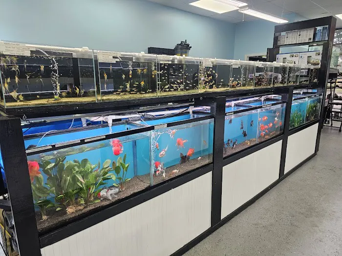 Mystical Ponds and Aquariums Picture 7