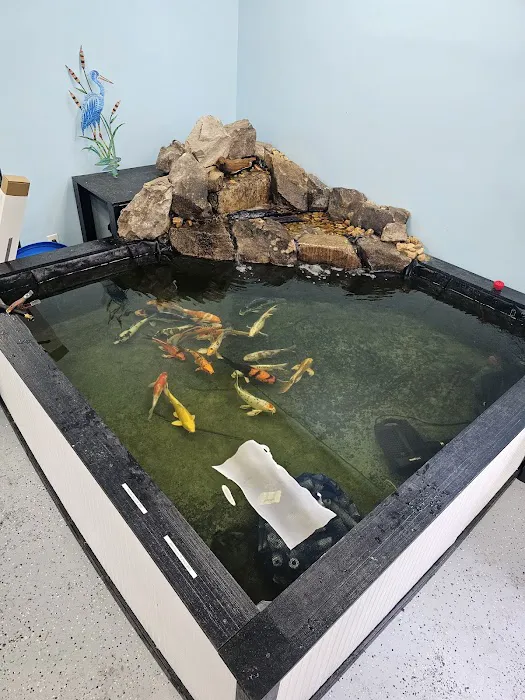 Mystical Ponds and Aquariums Picture 4
