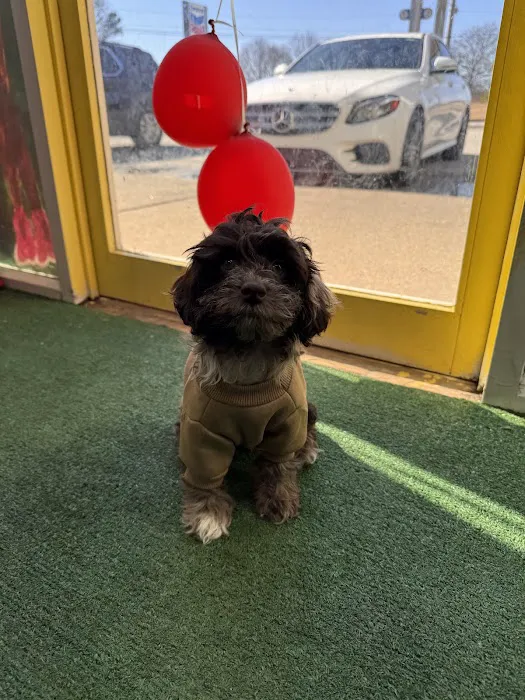 Bark Ave Boutique Picture 5
