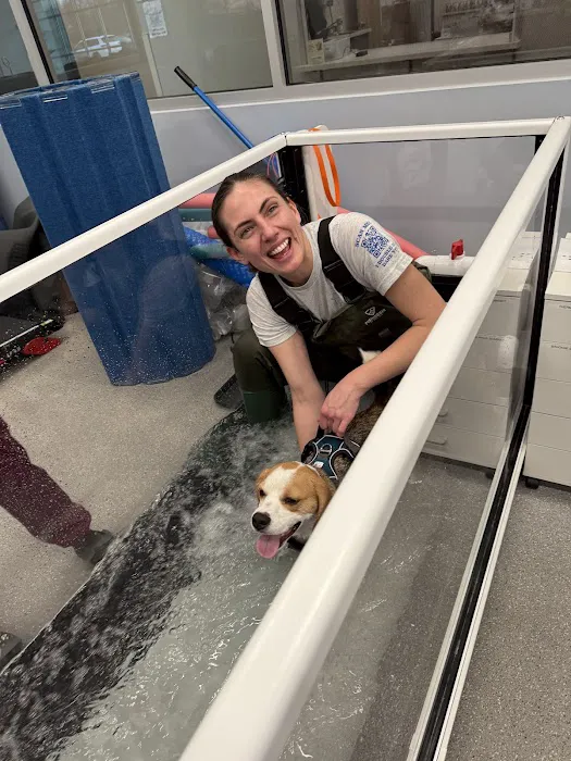 Alpha Animal Rehabilitation and Fitness Picture 3