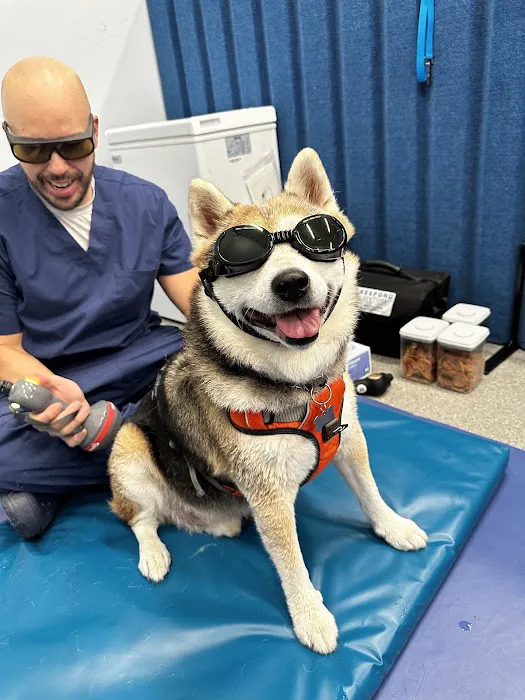 Alpha Animal Rehabilitation and Fitness Picture 6
