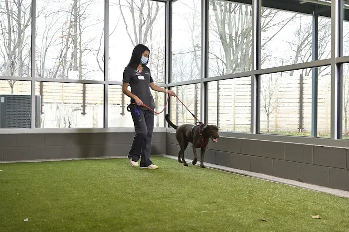 Animal Emergency & Referral Associates Picture 8