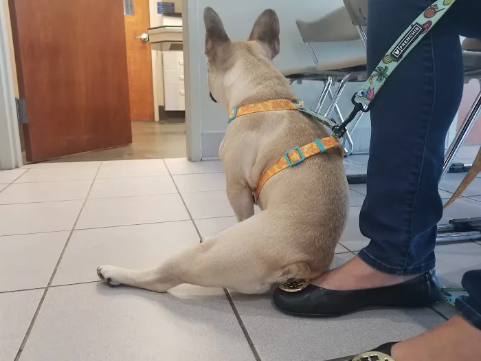 Animal Emergency & Referral Associates Picture 9