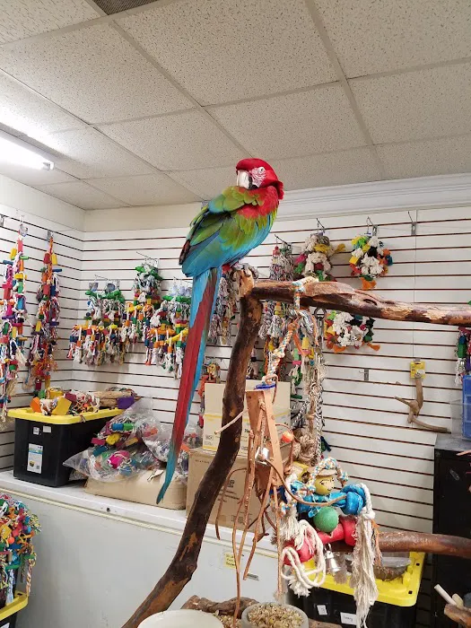 Animal Atlanta Picture 7