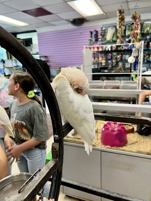 Animal Atlanta Picture 3
