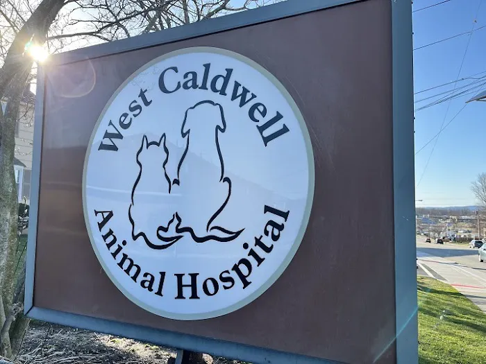 West Caldwell Animal Hospital Picture 5