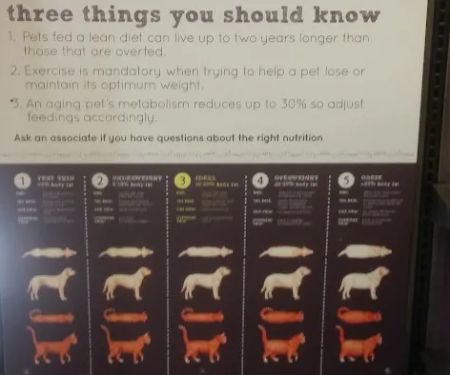 Petco