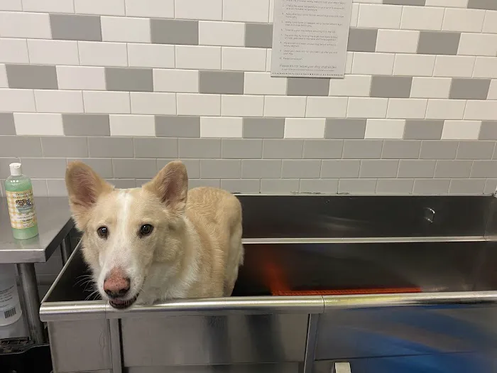 Petco Picture 6