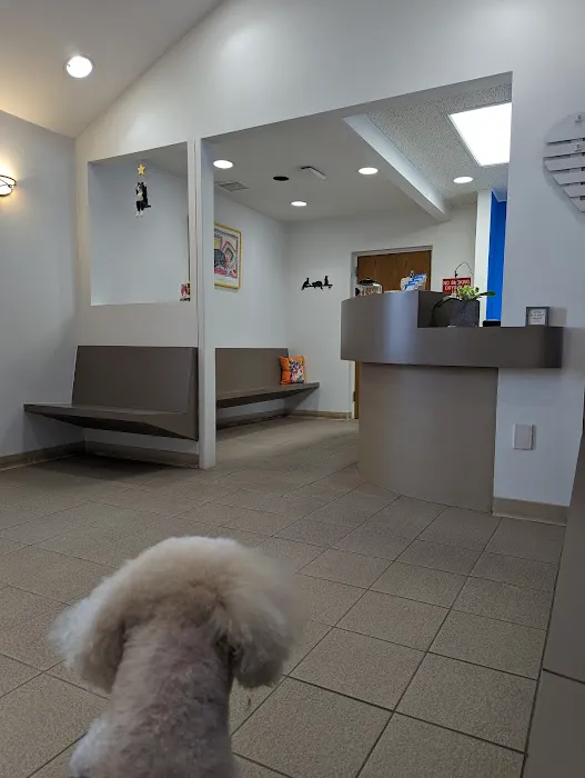 The Gentle Vet Picture 4