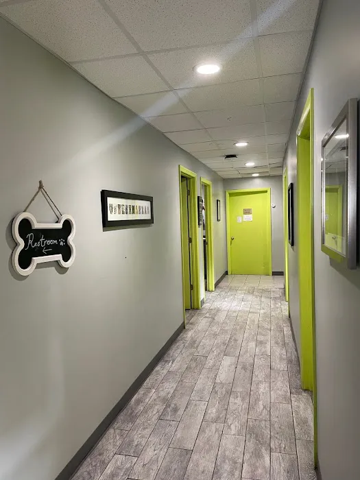 Veterinary Medical Center Picture 3