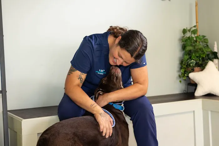Veterinary Medical Center Picture 7