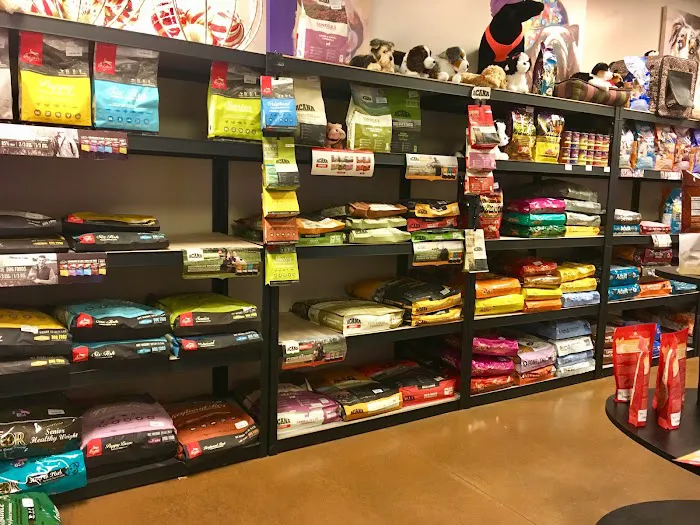 In The Ruff Pet Stuff Picture 1