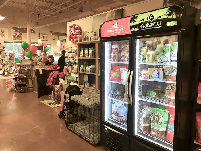 In The Ruff Pet Stuff Picture 6