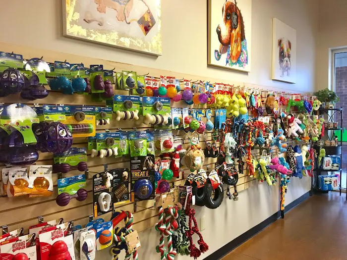 In The Ruff Pet Stuff Picture 4