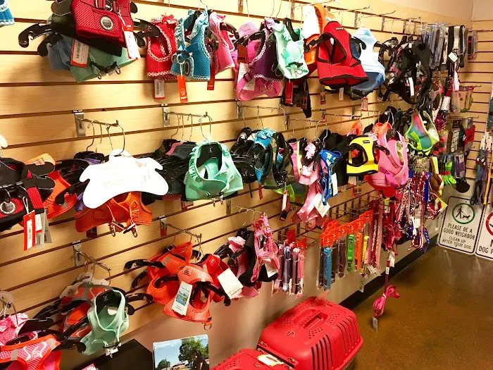 In The Ruff Pet Stuff Picture 8