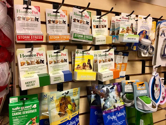 In The Ruff Pet Stuff Picture 7