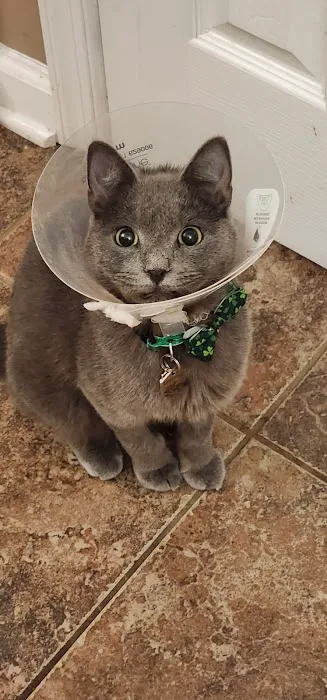 Montville Animal Hospital Picture 4