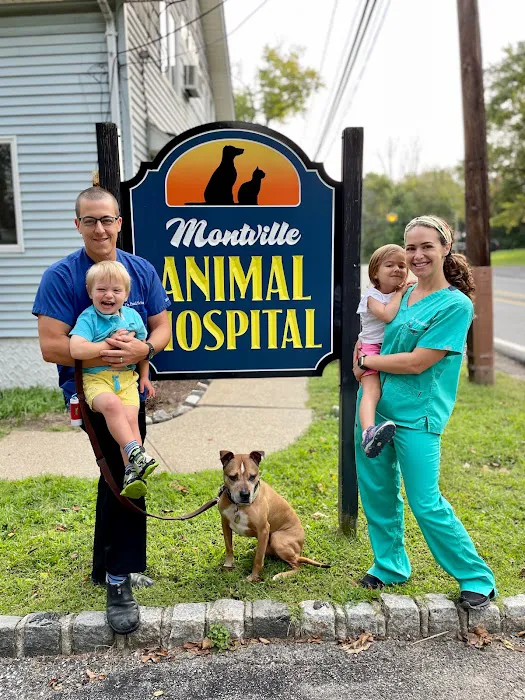 Montville Animal Hospital Picture 7