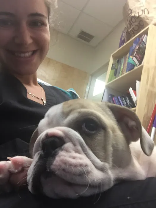 Montville Animal Hospital Picture 9