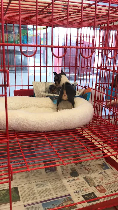 Tri-Creek Kennels Picture 1