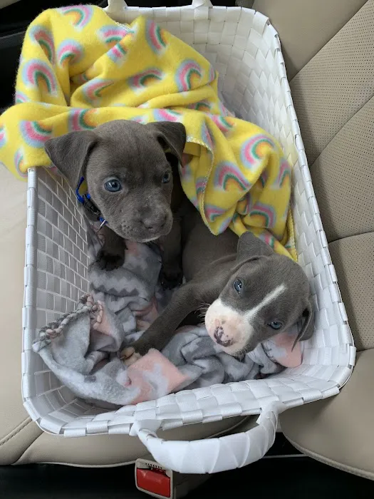 Tri-Creek Kennels Picture 10