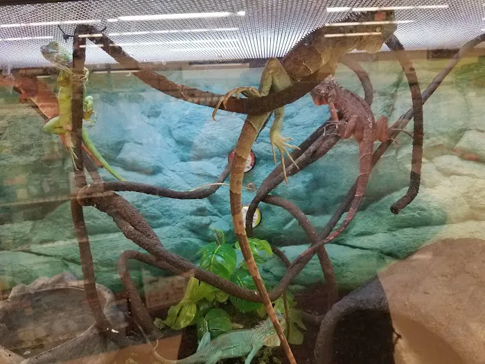 Petco Picture 7