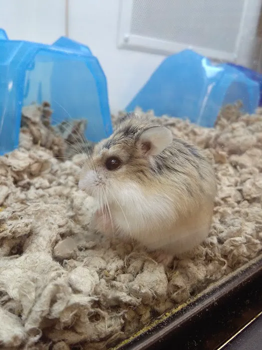 Petco Picture 9
