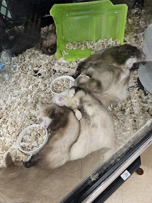 Petco Picture 10