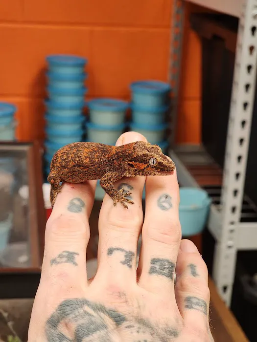 Exotic pets and supply by Endless Scales Picture 1