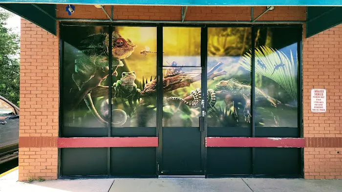 Exotic pets and supply by Endless Scales Picture 4