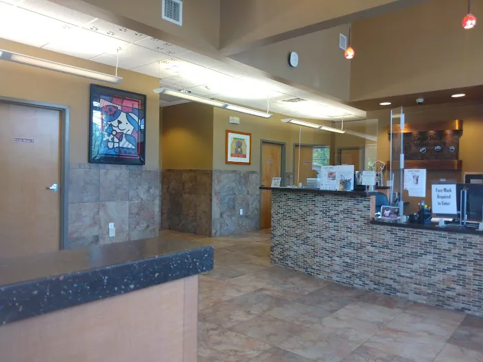 VCA Eagle Rock Animal Hospital Picture 3