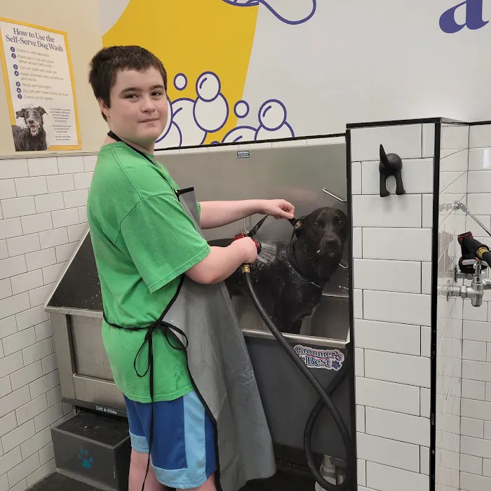 Pet Supermarket Picture 5